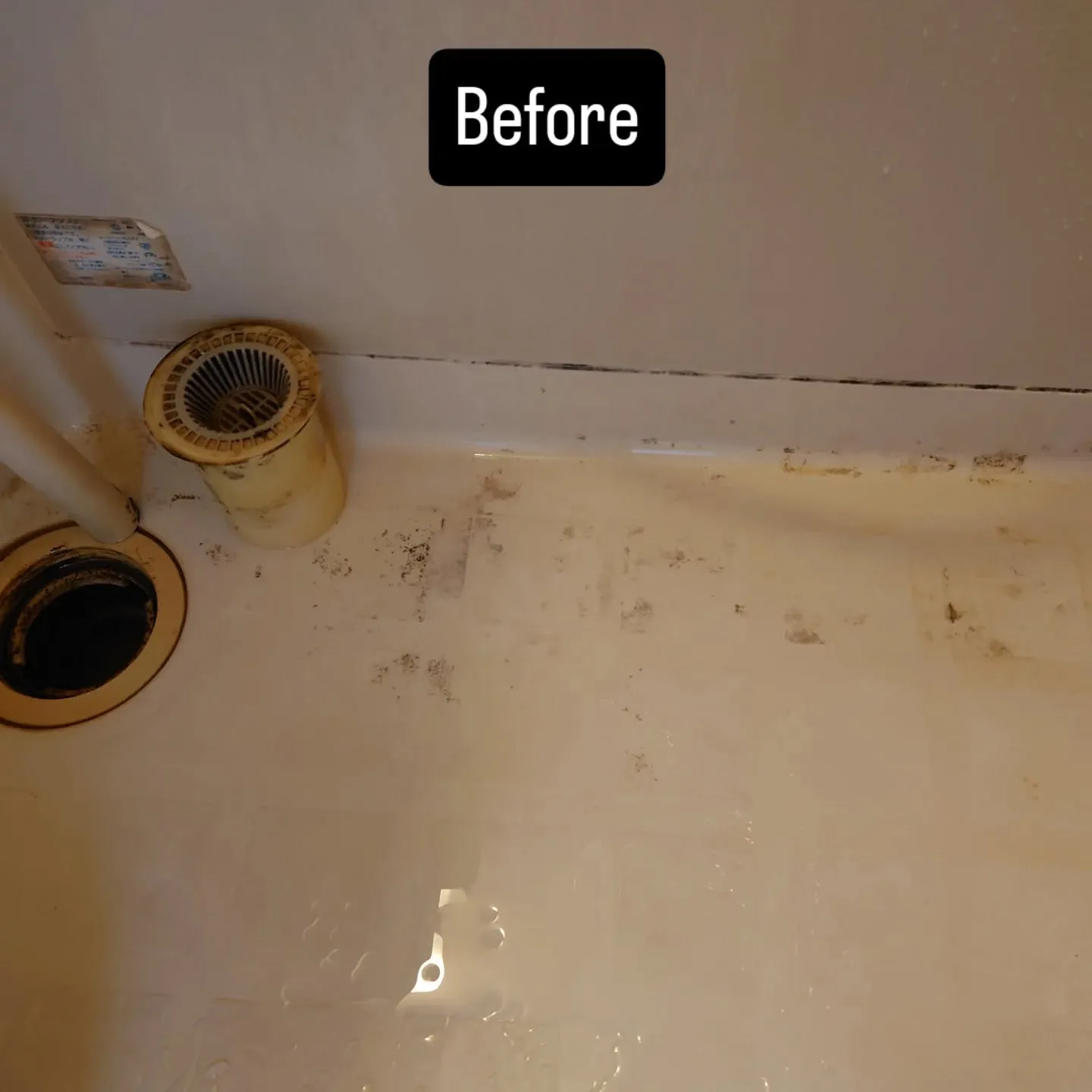 ✨【浴室クリーニング完了✨】