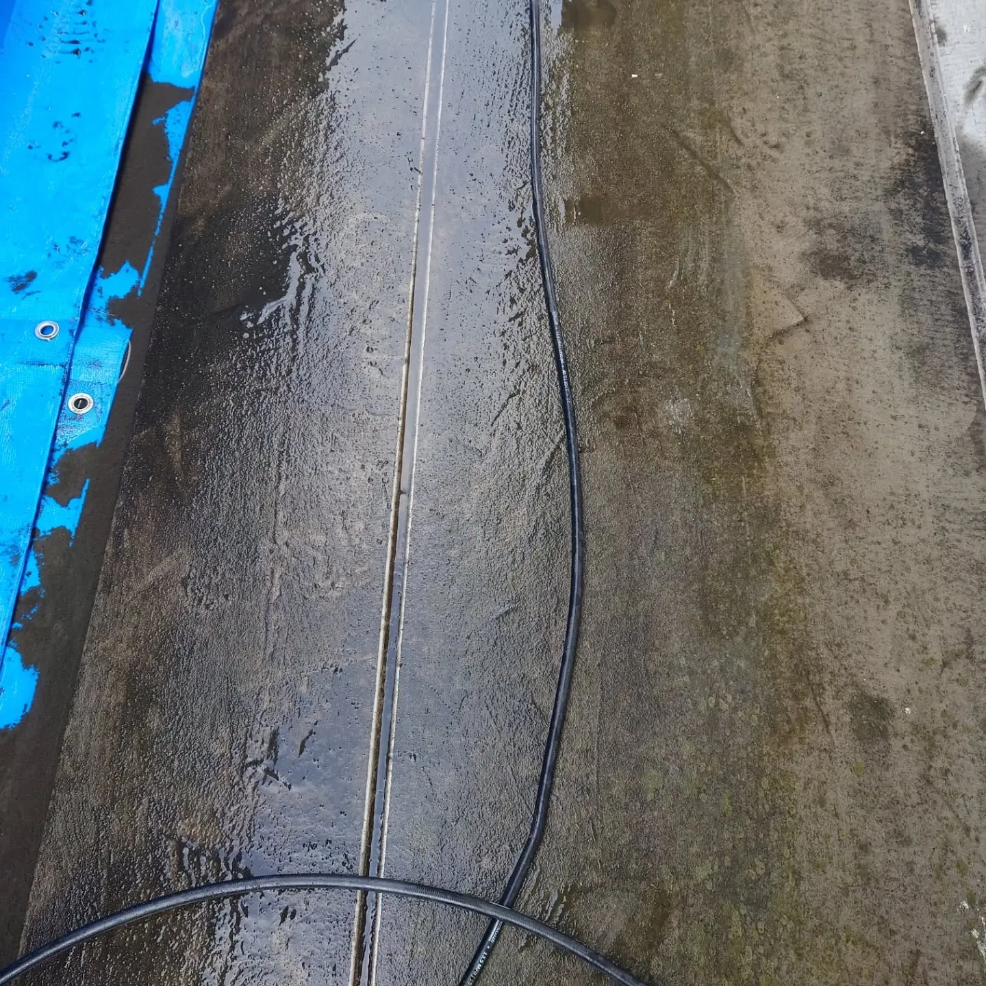 🌿✨【本日のハウスクリーニング】✨🌿