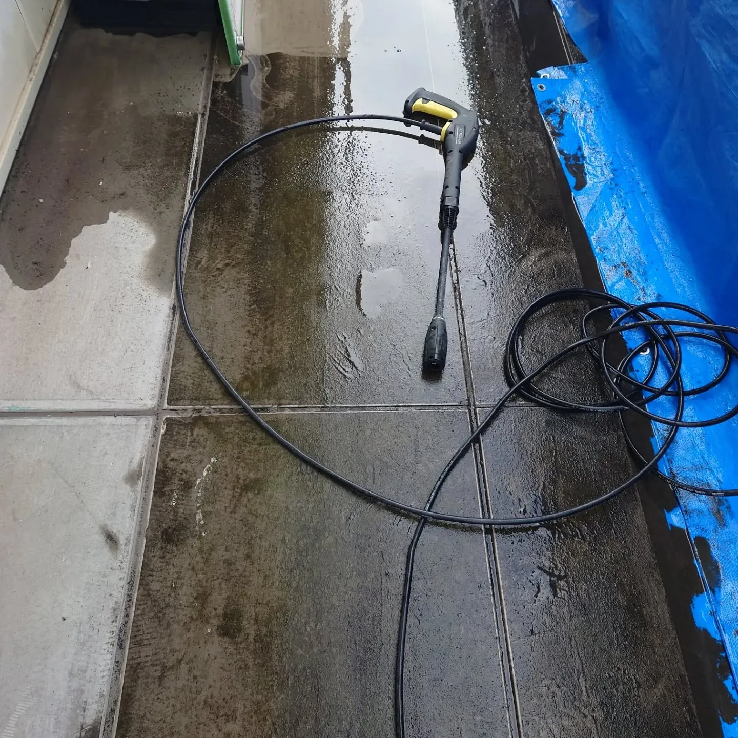 🌿✨【本日のハウスクリーニング】✨🌿