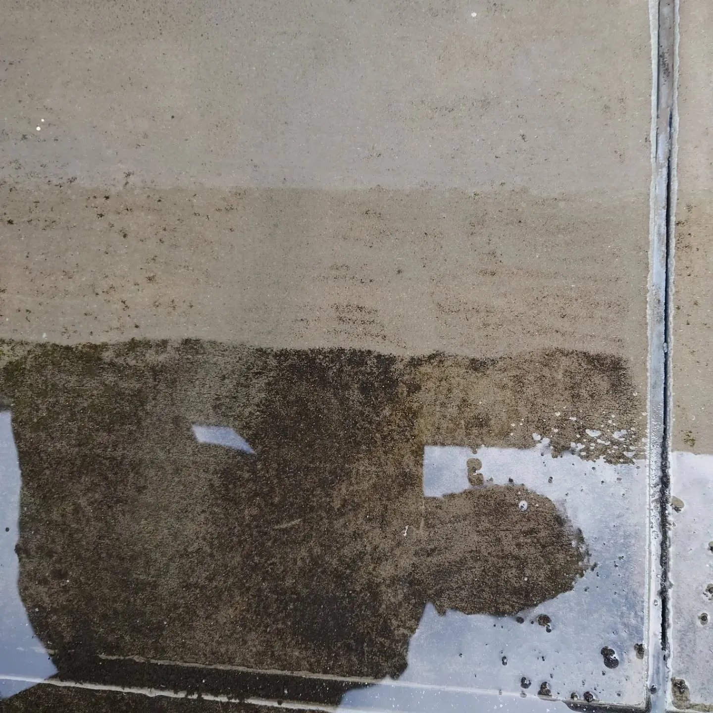 🌿✨【本日のハウスクリーニング】✨🌿