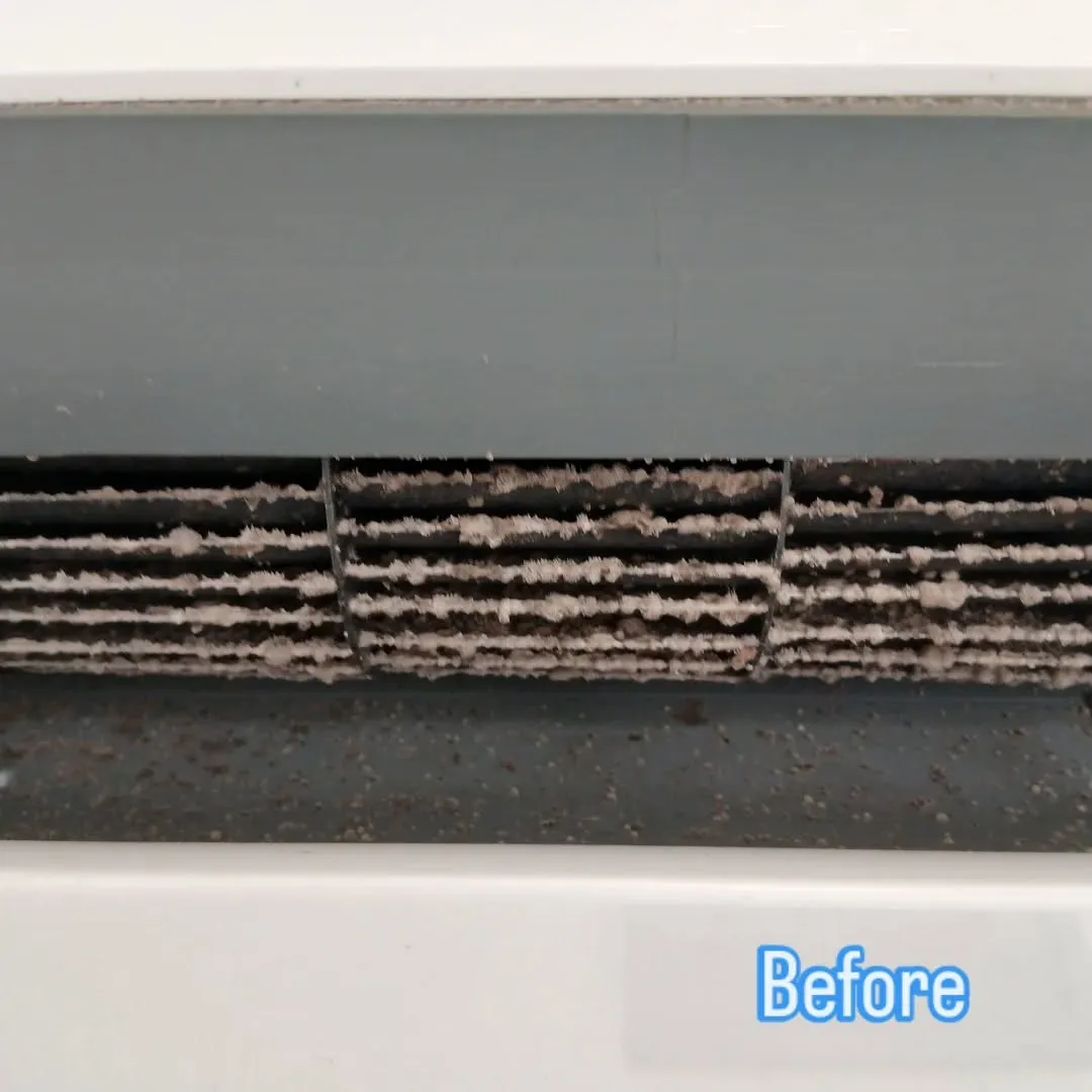 忙しい時期に突入💨