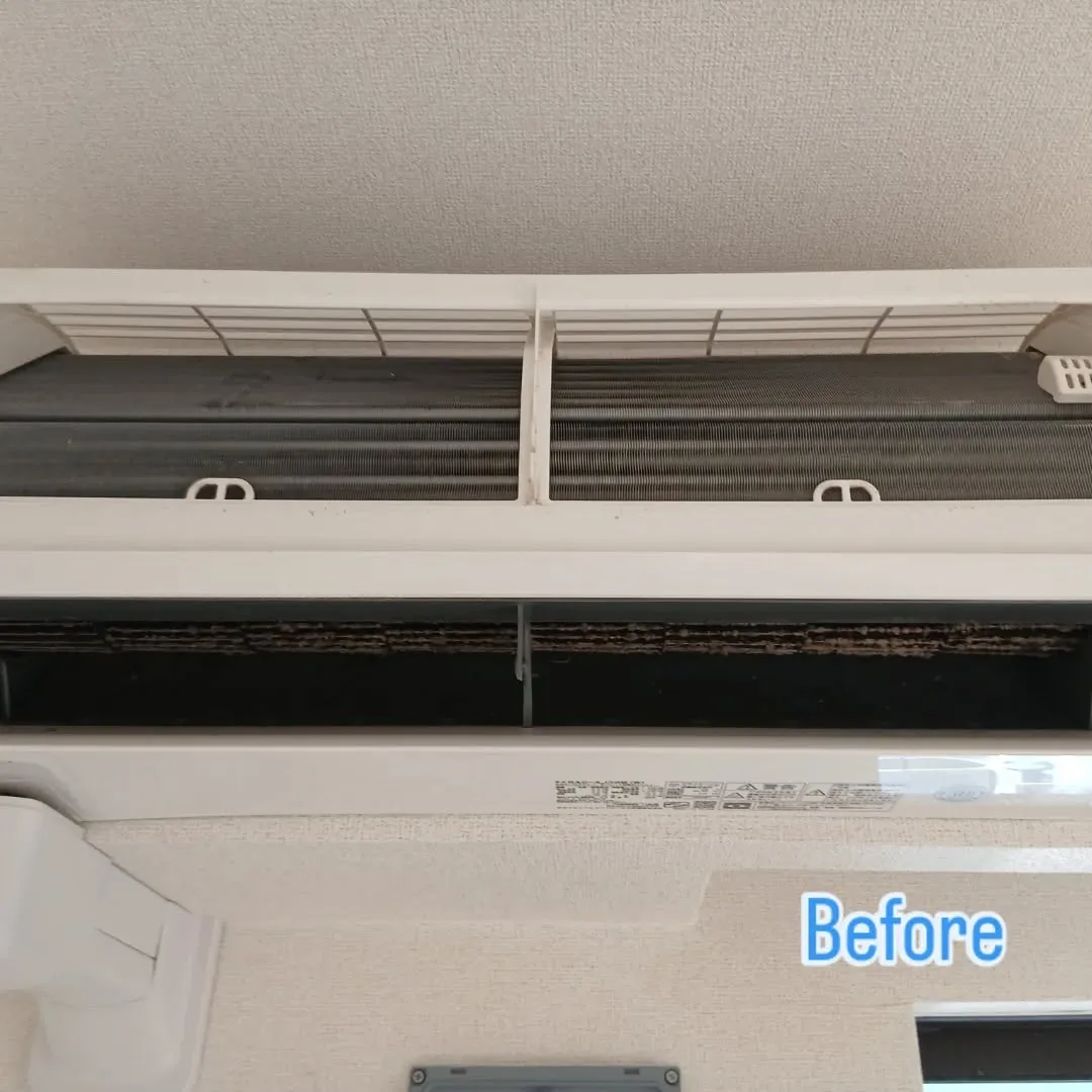 忙しい時期に突入💨