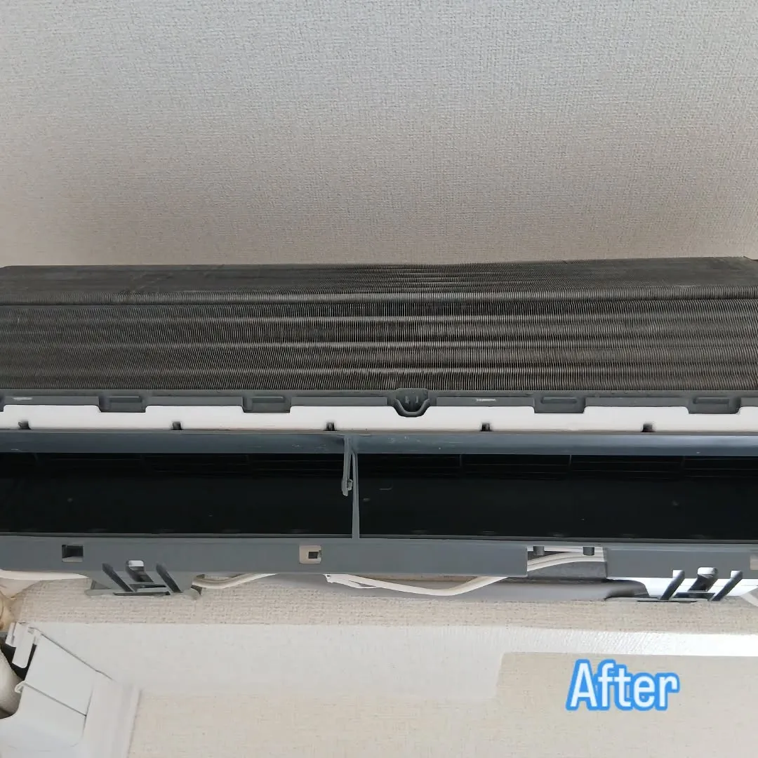 忙しい時期に突入💨